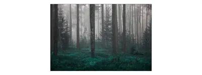 Zdjęcie produktu dla Fototapeta Abstrakcyjna Dekoracja Krajobraz z widokiem na Las we mgle Pejzaż Natury 3D 270x180cm