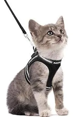 Produktbild von rabbitgoo Katzengeschirr mit Leine Ausbruchsicher, Katzenleine mit Geschirr, Katzengeschirr Kitten Verstellbar Weich Kätzchenweste mit Reflektierenden Streifen für Extra Kleine Katzen, Schwarz S