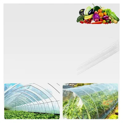 Produktbild von Transparente Gewächshausfolie, 2 x 10M für winterfeste Anwendungen, extra dick und reißfest, Polyethylen Gartenfolie für Folientunnel und Gartenarbeit