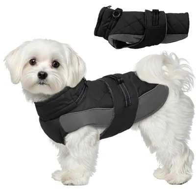 Hundemantel, wasserdicht, reflektierend, Winterjacke, M, Schwarz