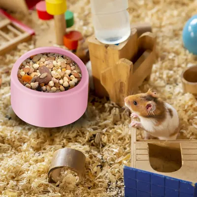 Obrázok produktu pre 3 kŕmidlá a 2 závesné napájačky pre škrečky, morčatá, vtáky a iné malé domáce zvieratá