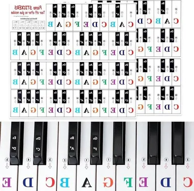 Immagine prodotto di Kit didattico per principianti per pianoforte, con pennarelli colorati per le note, compatibile con tastiere a 88, 61, 54 o 49 tasti