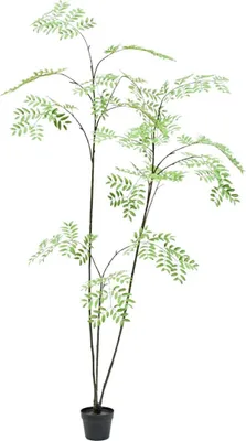 Produktbild von Silk-ka künstliche Zimmerpflanze Aralie Grün 235 cm