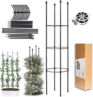 Immagine prodotto di Obelisco da giardino: sostegno per tutte le piante rampicanti, lungo, in acciaio, ideale per terrari.