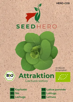 Produktbild von Seedhero  Kopfsalat Attraktion Samen