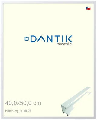 Obrázok produktu pre Rám DANTIK 40x50 | ALU profil 7003 biely matný (sklo číre)