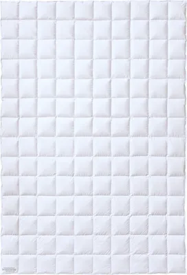 Produktbild von Kauffmann Daunendecke Österreichische Weidegans 155x220 cm leicht