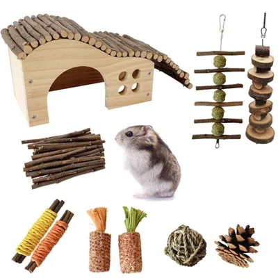 Produktbild von Set mit 10 Kauspielzeugen für kleine Meerschweinchen und Hamster