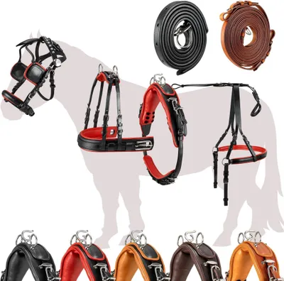 Produktbild von Esposita Einspännergeschirr "Professional" Schwarz-Rot Gr. Mini Mini Shetty