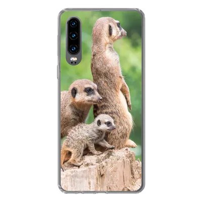 Produktbild von MuchoWow® Handyhülle Schutzhülle Hülle für Huawei P30 Erdmännchen - Baumstumpf - Jungtier Silikon Softcase Handy Hülle - Kartenbesitzer