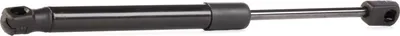 Produktbild von RIDEX 219G0454 Gasfeder Heckklappendämpfer für HYUNDAI SONATA V (NF) 302,5mm