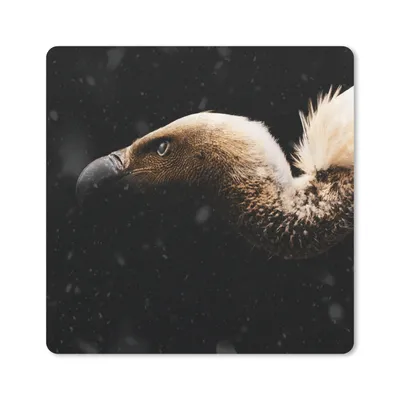 Produktbild von MuchoWow® Mauspad Mousepad Geier - Weiß - Schwarz 20x20 cm - Mousepads - Maus Mat - Pad - Mausunterlage - Desk Mat - Bureauartikeln