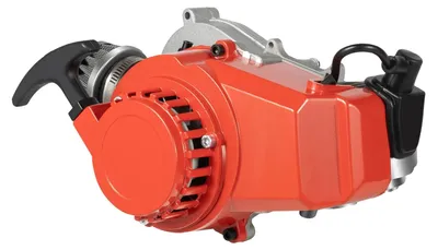 Productafbeelding van Motor, 49cc, 2-takt, Rotax