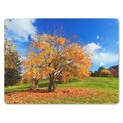 Produktbild von MuchoWow® Mauspad Mousepad Baum - Blätter - Herbst - Jahreszeiten 23x19 cm - Mousepads - Maus Mat - Pad - Mausunterlage - Schreibtischunterlage - Mauspad