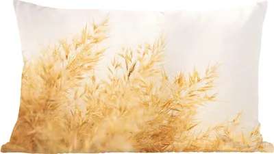 Produktbild von MuchoWow® Zierkissen Sofakissen Wohnzimmer Dekokissen 50x30 cm Pampasgras - Sonne - Gras - Wohnzimmerdekoration - Polster mit Photo