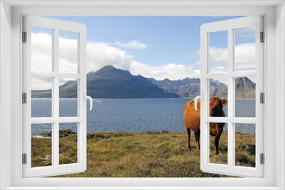 Produktbild von Wallario selbstklebendes Poster mit Fenster-Illusion - Kuh in den Bergen, Größe: 61 x 91,50 cm