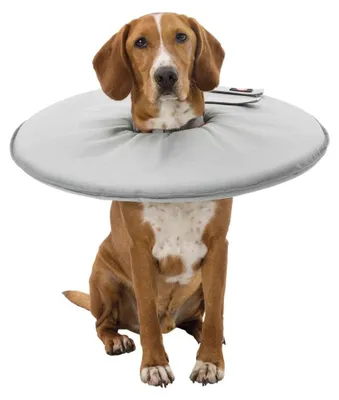 Produktbild von TRIXIE Schutzkragen - grau - 46–49 cm/24 cm