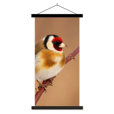 Produktbild von MuchoWow® Textilposter Kropftaube - Vogel - Tiere 60x120 cm mit schwarzem Rahmen - Magnete