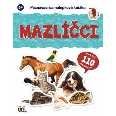 Produktbild von Kognitives Stickerbuch Haustiere