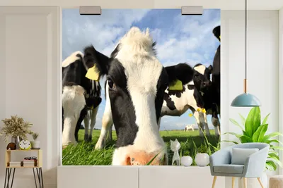 Produktbild von Grasgrößentuch 260 cm x 260 cm