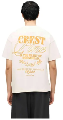 Image de T-shirt Jack&Jones JORMAINE WASHED BACK TEE SS CR pour Homme
