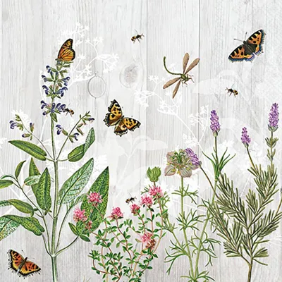 Produktbild von Servietten Cocktail 25x25cm 3-Lagig 20 Servietten Kräutergarten Napkin 25 Herb garden