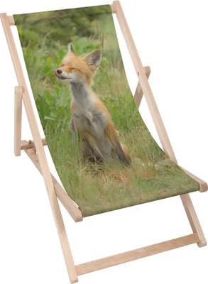 Produktbild von Dreamroots Liegestuhl klappbar Holz, Buchenholz bis zu 130 kg, Sonnenliege klappbar mit 3-stufiger Neigungsregulierung der Rückenlehne, Little Fox