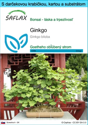 Obrázok produktu pre SAFLAX Darčeková sada - ginkgo - Ginkgo biloba - 4 Semená - S darčekovou krabičkou, prepravným štítkom, darčekovou kartou a pestovateľským médiom
