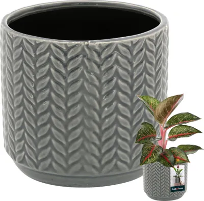 Produktbild von KOTARBAU® Blumentopf Grau Keramik rund ⌀ 12 cm Höhe 12,5 cm Glasierte Keramik 1 St. Blumenübertopf groß Übertopf Keramik Pflanztopf Keramik Blumentopf Keramik Pflanzkübel Keramik