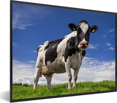 Produktbild von MuchoWow® Gerahmtes Poster Kuh - Gras - Blau - Tiere 80x60 cm - Poster mit Schwarzem Bilderrahmen Wandposter Rahmen Foto Bilder - Schwarzem - Mit Gestell