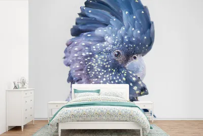 Produktbild von MuchoWow® Fototapete für Wohnzimmer oder Schlafzimmer Wandtapete Vinyl Motivtapete Kakadu - Blau - Tiere - Natur - 600x400 cm - Vinyltapeten
