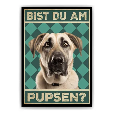 Produktbild von Kangal - Bist du am Pupsen? Hunde Poster Badezimmer Gästebad Wandbild Klo Toilette Dekoration Lustiges Gäste-WC Bild DIN A4 – DIN A4 (21x29.7cm)