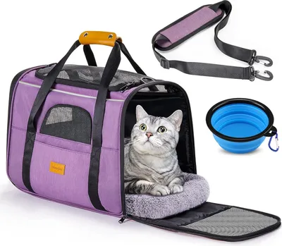 Image de Caisse de transport pour chats, sac de transport pliable pour chats, sac de transport, sac de transport pour chiens, sac de transport avec bandoulière réglable, caisse pour chats