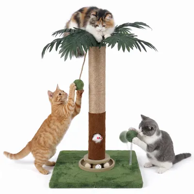 Kratzbaum 70 cm mit Spielzeugmaus und Ballschiene für Katzen