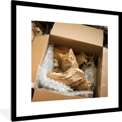 Produktbild von MuchoWow® Gerahmtes Poster Katze - Box - Rot 40x40 cm - Poster mit Schwarzem Bilderrahmen Wandposter Rahmen Foto Bilder - Poster - Plakat im Rahmen