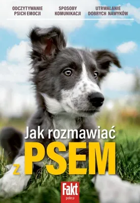 Image de Comment parler à son chien
