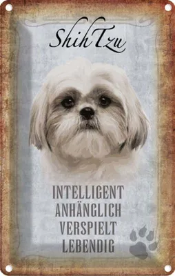 Produktbild von vianmo Blechschild 30x20 cm Shih Tzu Hund Tier Haustier