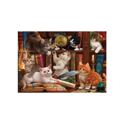 Obrázek produktu pro ANATOLIAN Puzzle Koky v knihovn 500 dlk