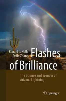 Image de Flashes of Brilliance