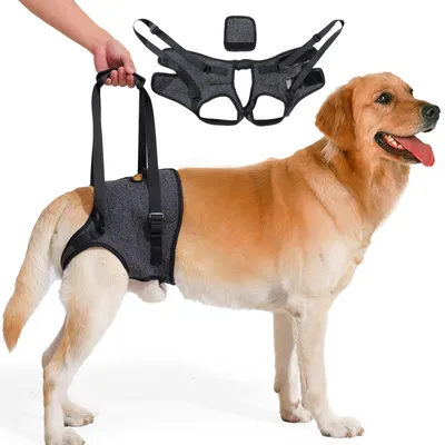 Imagen del producto de Soportes para las patas traseras, ajustables
