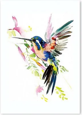Produktbild von TPFLiving Kunstdruck LW-709 (OHNE RAHMEN) Poster - Leinwand - Wandbild - Hochauflösender Giclée-Druck, langlebig und hochwertig - Abstrakte Aquarelle mit bunten Vogel Motive - Größe: 50x75cm