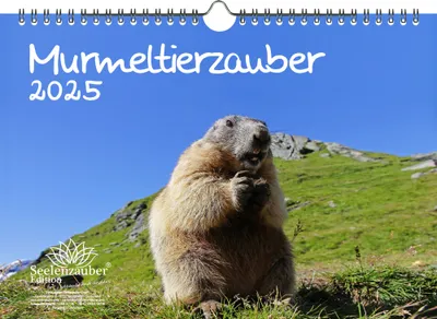 Produktbild von Murmeltierzauber DIN A4 Kalender für 2025 Murmeltier - Seelenzauber