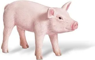 Produktbild von tiptoi® Ferkel