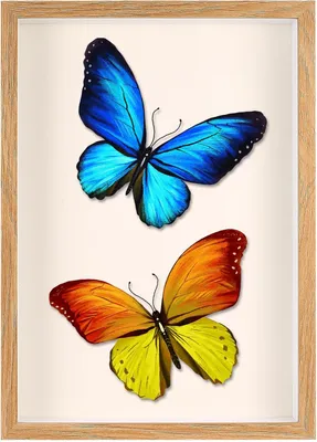 Produktbild von 3D Bilderrahmen A4 3.5 cm, Holz, Acryl, Medaillen