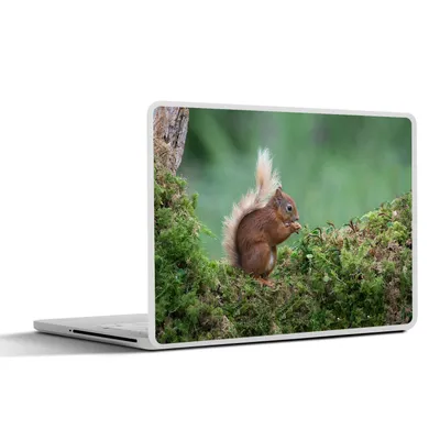 Produktbild von MuchoWow® Laptop Aufkleber Sticker Cover Eichhörnchen - Wald - Moos 31x22.5 cm - Laptop-Deko