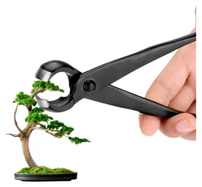 Produktbild von Konkavzange Bonsai, 210 mm Bonsai-Schere aus Manganstahllegierung, professionelles Bonsai-Werkzeug zum Entfernen kleiner Äste, Vorsprünge und Knollen