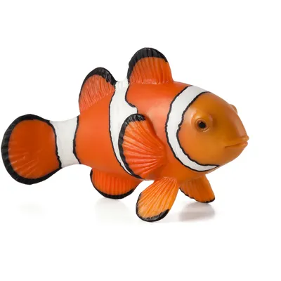 Obrázek produktu pro Mojo Fun Clown Fish, 3 rok/roky, SEALIFE, Oranžová, Bílá, Černá, Polyvinylchlorid (PVC)