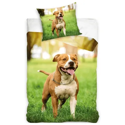Obrázok produktu pre Obliečka na prikrývku Pitbull 140 x 200 cm