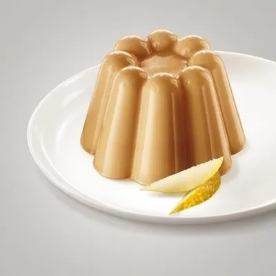 Obrázok produktu pre Dr.Oetker Mocha Professional Puding na varenie pripravuje približne 360 porcií 2500g