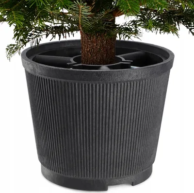 A close-up view of a Christmas tree stand holding a small Christmas tree.